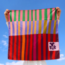 Colorblock Silk Scarf