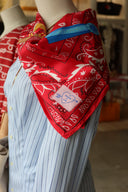 Cecilia x LM Medium Silk Scarf