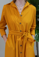 Salma Poplin Dress