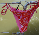 Kapolei Reversible Bikini