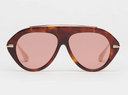 The Icon 2.0 Tortoise