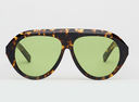 The Icon Tortoise
