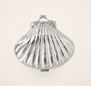 Venus Sliver Seashell