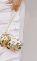 Venus Sliver Seashell
