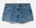 Levi's x RE/DONE The Short