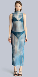 Pleated Column Sheer Midi Dress