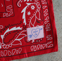 Cecilia x LM Medium Silk Scarf