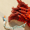 Flame Rosalia Pouch