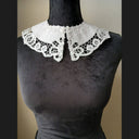 Lace Peter Pan Collar White